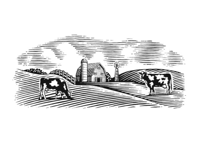 Dairy Farm 